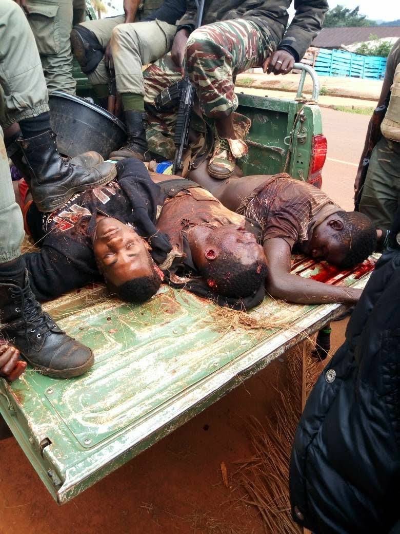Eugeneufoka's tweet photo. @margotwallstrom Your Excellency the people of #SouthernCameroon are being slaughtered and massacred by La Republique du Cameroun regime we urge the Swedish government  for intervention and to condemn these atrocities by La Republique du Cameroun @SwedenUN @SwedenGeneva @SweMFA @SwedeninEU https://t.co/Itt7b4sQHW