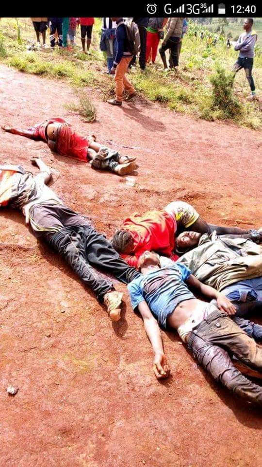 Eugeneufoka's tweet photo. @margotwallstrom Your Excellency the people of #SouthernCameroon are being slaughtered and massacred by La Republique du Cameroun regime we urge the Swedish government  for intervention and to condemn these atrocities by La Republique du Cameroun @SwedenUN @SwedenGeneva @SweMFA @SwedeninEU https://t.co/Itt7b4sQHW