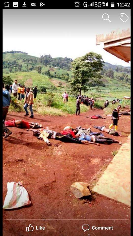 Eugeneufoka's tweet photo. @margotwallstrom Your Excellency the people of #SouthernCameroon are being slaughtered and massacred by La Republique du Cameroun regime we urge the Swedish government  for intervention and to condemn these atrocities by La Republique du Cameroun @SwedenUN @SwedenGeneva @SweMFA @SwedeninEU https://t.co/Itt7b4sQHW