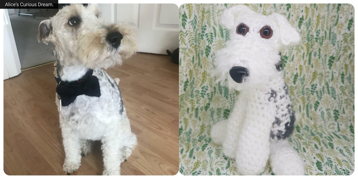 Alice's Curious Dream. tweet media