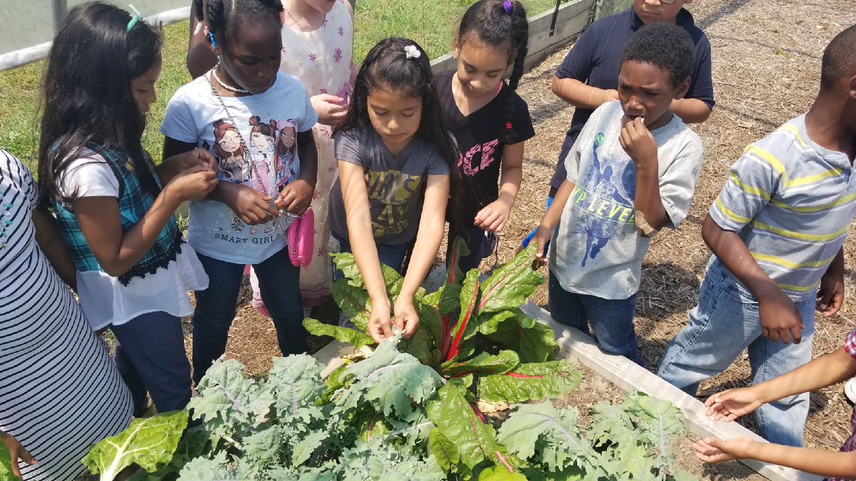 RenewRichmond's tweet photo. Let the plants grow! The students at Reid Elementary School are seeing the results of their hard work! They've even transplanted seeds that they started in their classroom! https://t.co/LvmF78hDTM