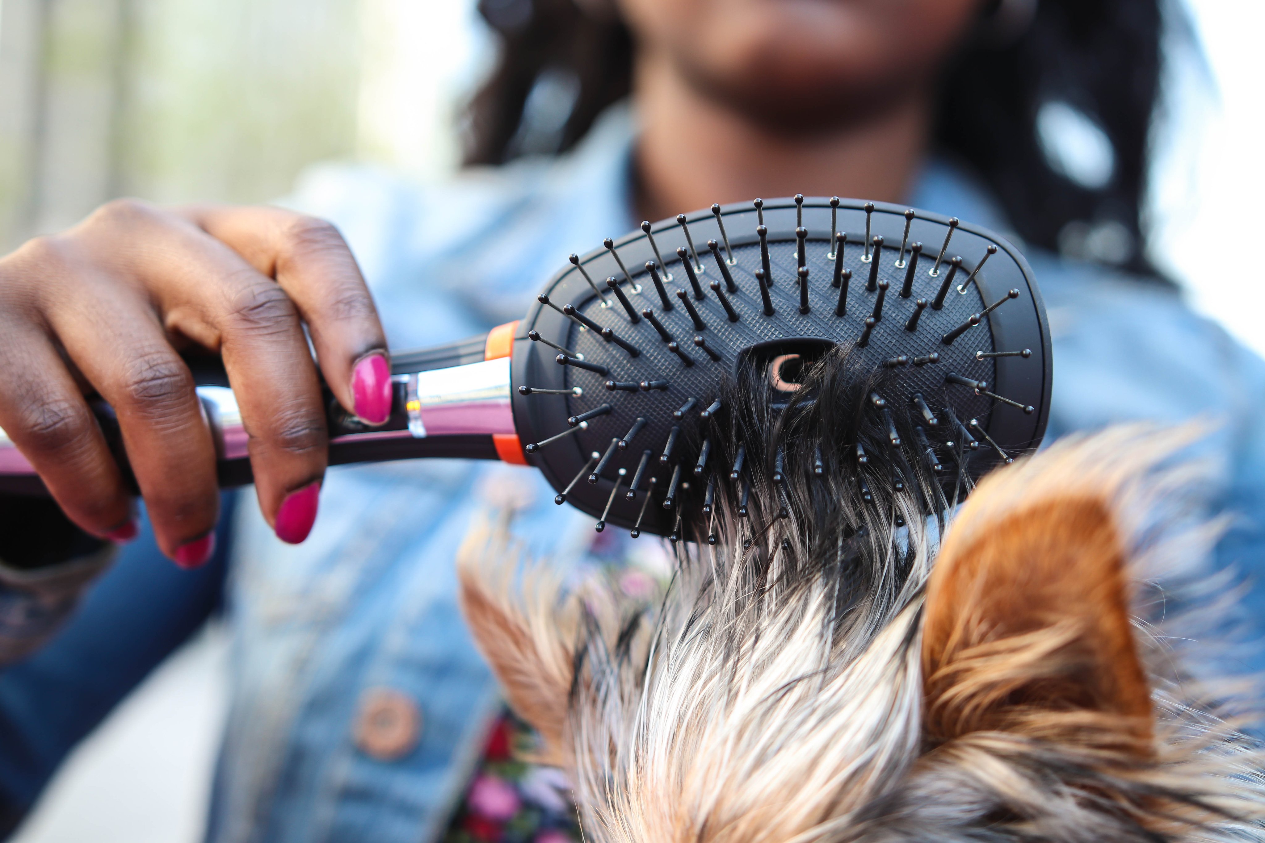 Conair Canada on X Your furry little friend deserves at home hair care too. Packed with ionic technology our Ionic Pet Brush eliminates static and frizz for a gorgeous shine that Rover will