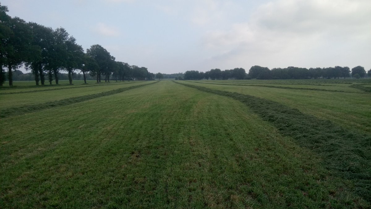 rhaar000's tweet photo. Vanmorgen gemaaid en nu al droog genoeg. #grasoogst2018 #2esnede https://t.co/krw1FiVyiX