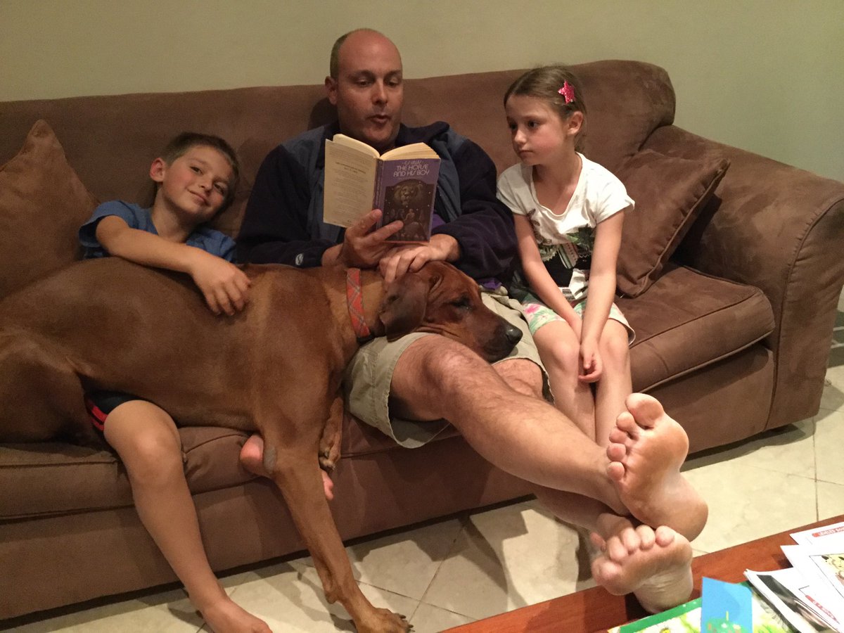 AISLSecLib's tweet photo. Our “lapdog” Shumba loves the Chronicles of Narnia, too! #booklove #doglove #readaloud https://t.co/ZpQRmg6YUv