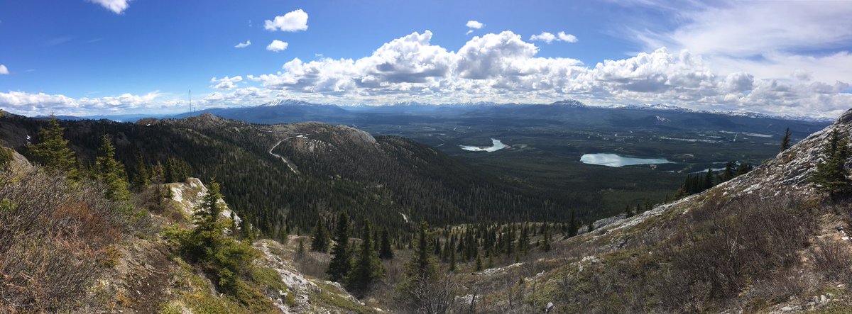 Biked and then hiked all the way to the summit of Grey Mountain from downtown. #RPAYactive