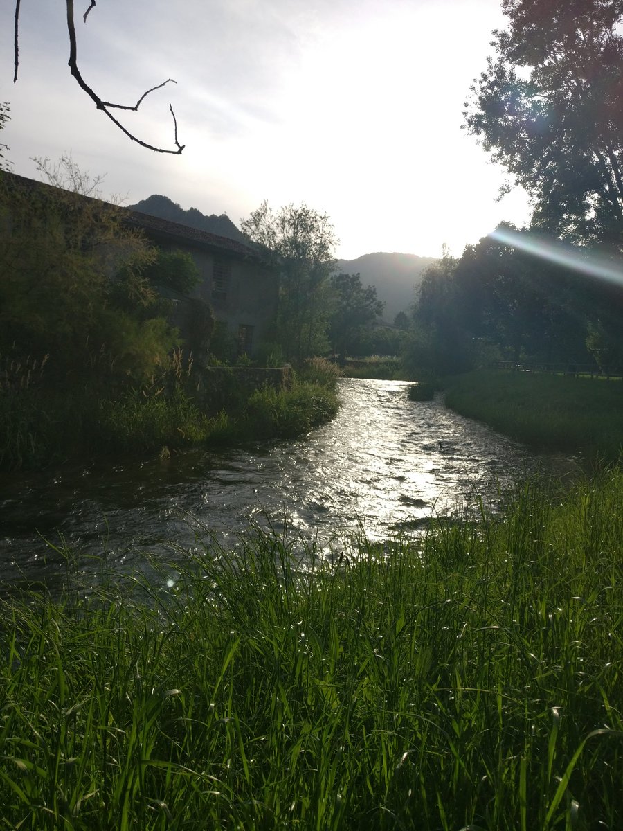 galloforcello2's tweet photo. #meschio #treviso #vittorioveneto #acqua https://t.co/clkBhMFuAd