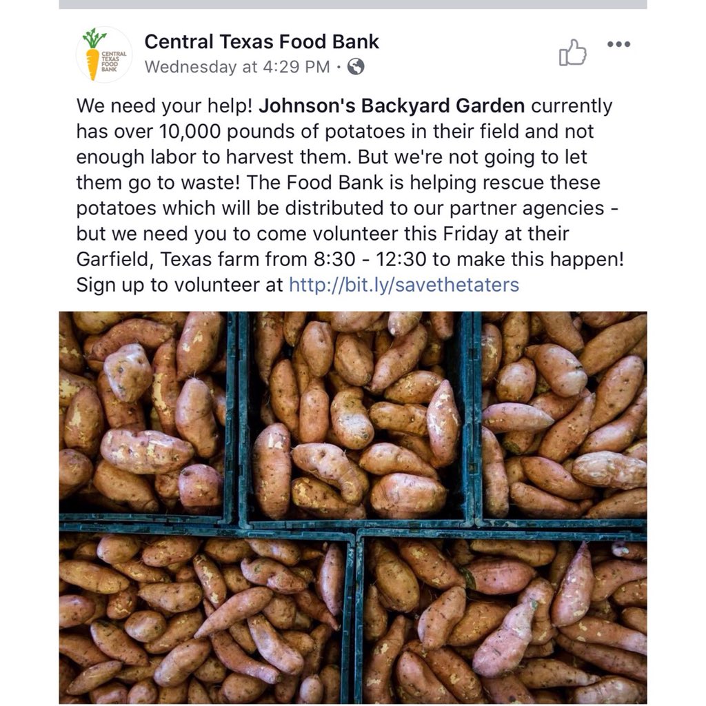 Harvested 10k Lbs of potatoes that would have gone to waste due to labor shortage. 15 volunteers were gathered up last min to collect and sort potatoes for the Central Texas Food Bank in Austin Texas! #Woodforsest to the rescue! 
#WoodforestCares 
#FightingHunger 
#AustinTexas