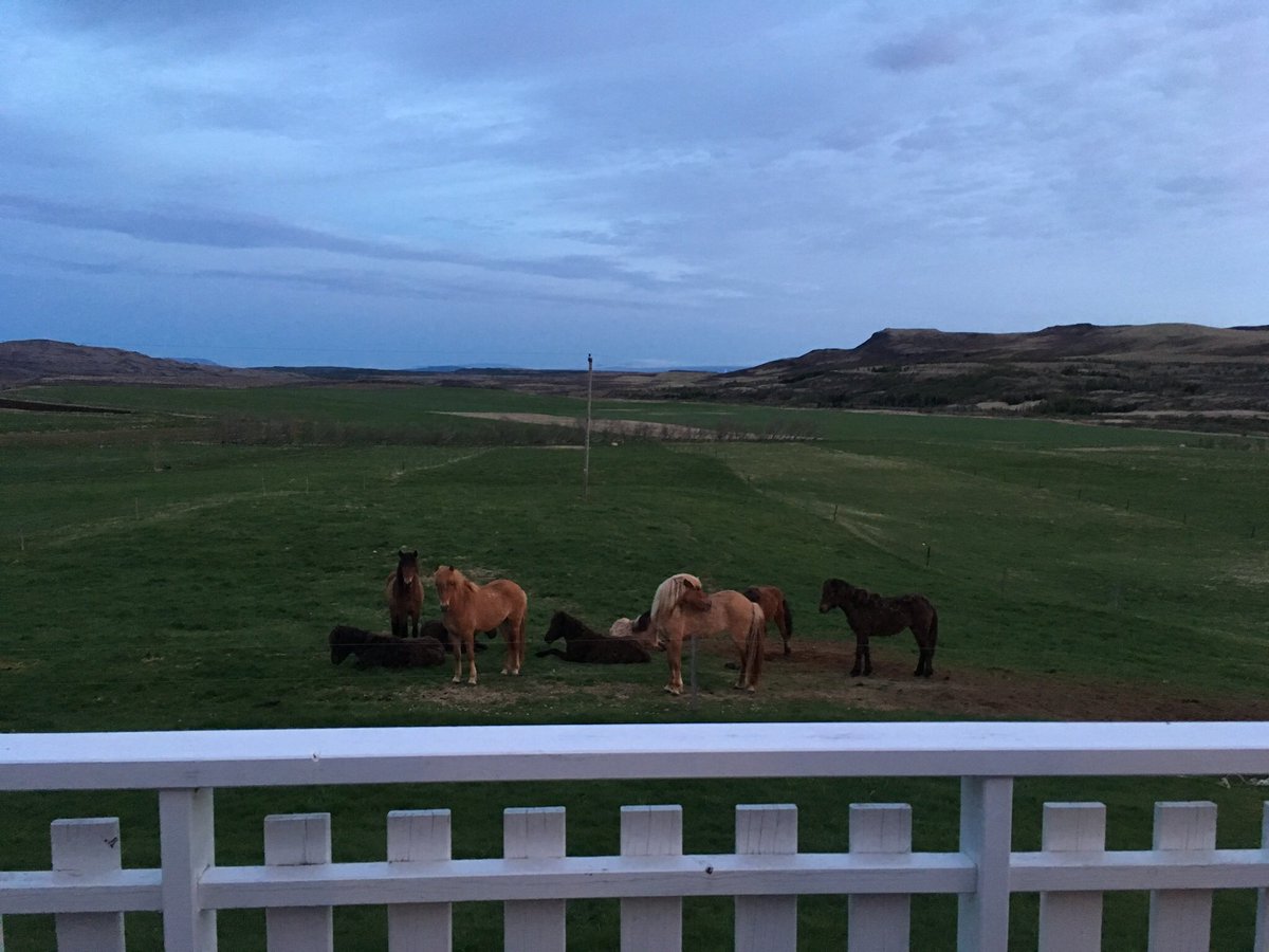 NataliePis's tweet photo. Post #gopherconIS decompression: workation with 2 colleagues and these cool locals
Thanks everyone who worked to make it happen and actually came to Reykjavík! We made it happen! https://t.co/V5GgvLUAXX