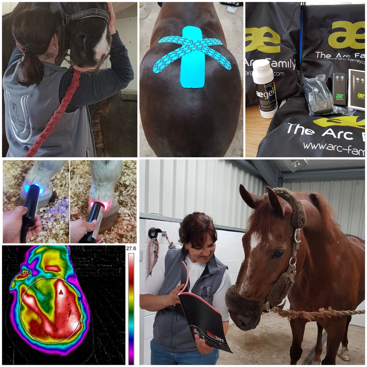 Thinking of buying an ArcEquine, want to try one first? Rental service for ArcEquine and Arc4Health through me! Drug free, non invasive, safe microcurrent technology for horses and humans 🏇🏃‍♂️🏃‍♀️