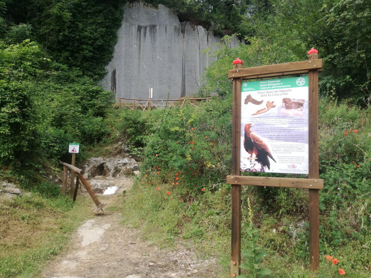 paleo_GG's tweet photo. Seven years later, we reopen the palaeontological #research at #CavaFilo...Amazing news and interesting discoveties by a fauna of about 25.000 years ago! Thanks to  @Museo_Donini which included me in the team! https://t.co/cYjfH9eel7