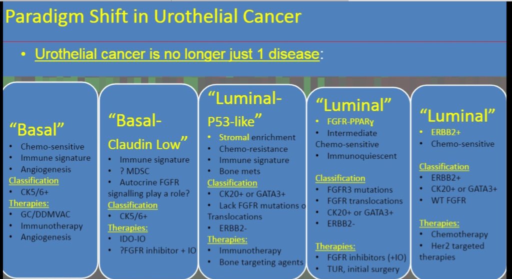 lucasmnnogueira's tweet photo. Retweeted Ana Rosa Rubio (@AnaRRubio):
Role of precision therapy in the treatment of advance urothelial cancer... Paradigm shift
Arlene O. Siefker-Radtke, MD
#ASC018 @ASCO https://t.co/BIES1U46pt