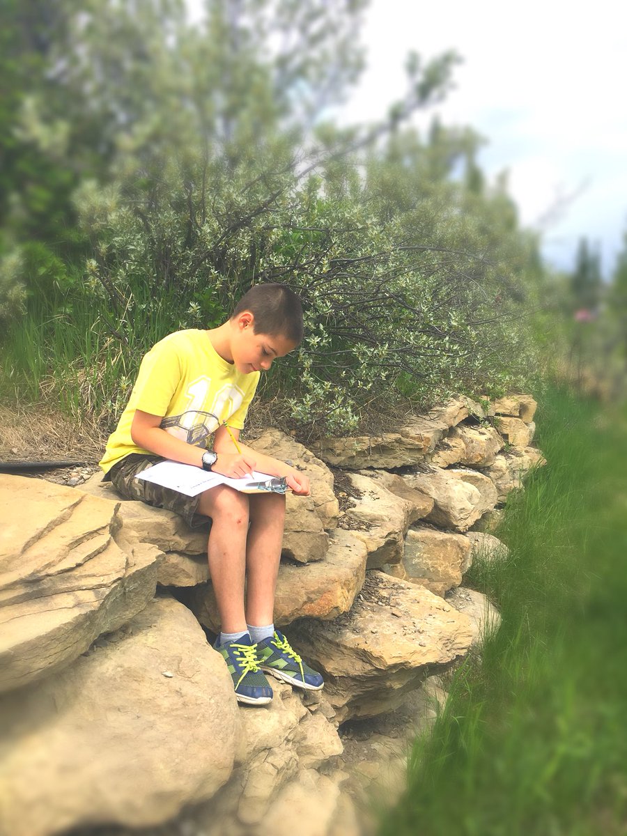CalliMac10's tweet photo. Journaling in nature today. Nothing quite like it! #wetlandecosystems #grade5science #edchat #fieldstudy #pondstudy #learninnature #fivesenses @DMGSchool https://t.co/BJknu2t3Et