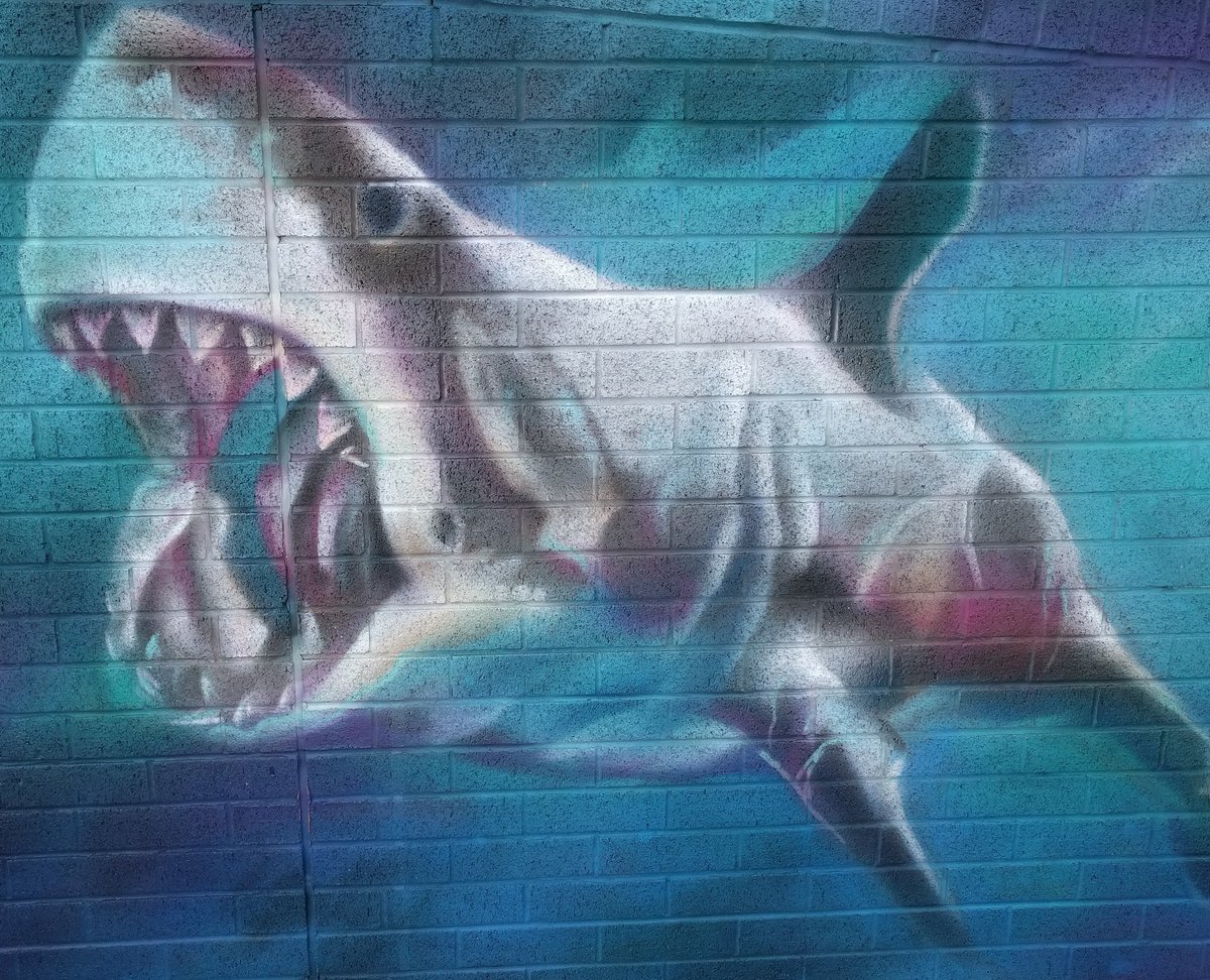 artsbythesea's tweet image. Check out some of the shots from &apos;The Bournemouth &amp;amp; Poole Selfie Wall Trail&apos; 🙌 How many did you get a picture with this weekend? 📸Great work @ambassadeurart in conjunction with @bmouthofficial  &amp;amp; @more_poole 

#LoveSelfieWalls #Bournemouth #Poole