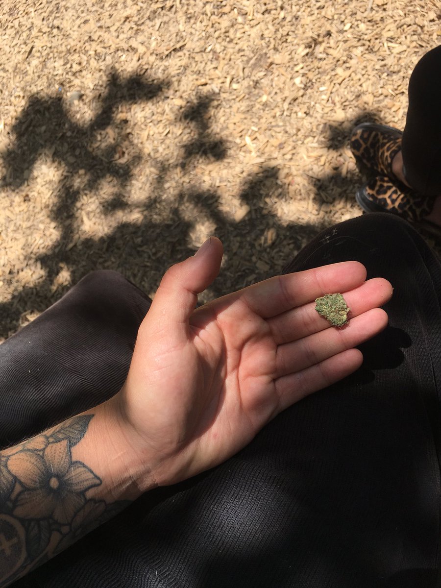 bysmoore's tweet image. was petting this big fluffy guy at the park and found this attached to his fur LOL