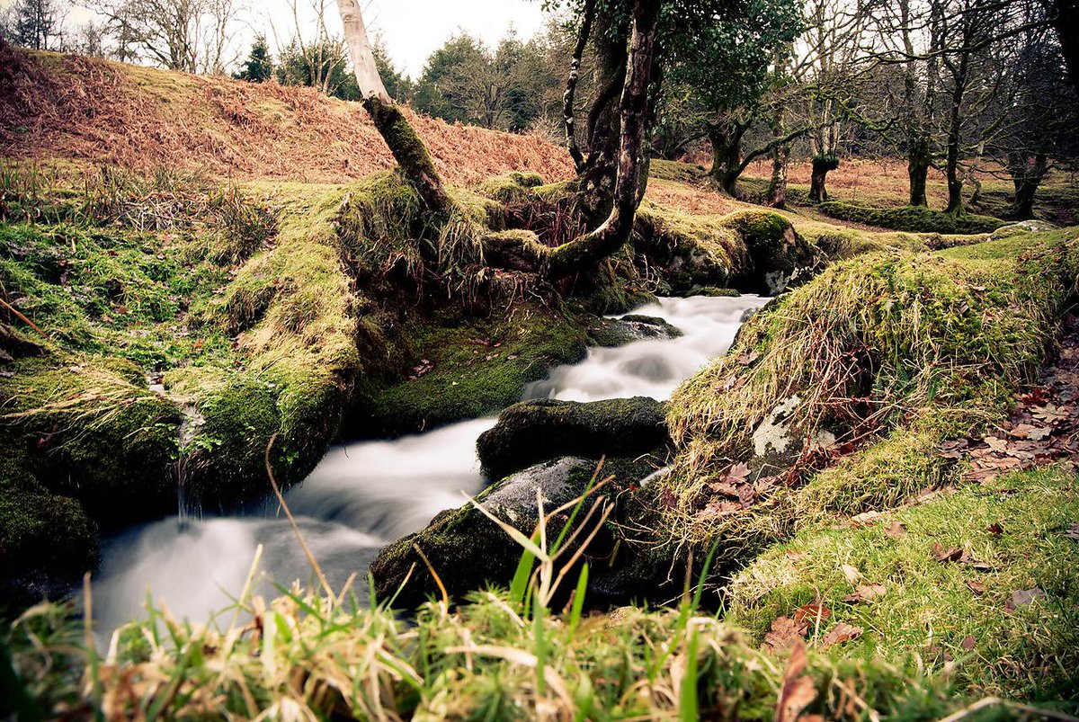 PlymUni's tweet image. This evening lecture on Wednesday will look at how #electrical data can allow us to determine the location of #flowpaths and monitor life in the subsurface as it grows. Find out more here: plymouth.ac.uk/whats-on/elect…
