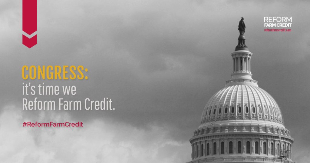 ReformFCS's tweet photo. The Farm Credit System was created to provide a reliable source of credit to independent, small, family-owned farms. Today, the system is out of control. Learn more about #ReformFarmCredit here: https://t.co/SOaolhOEvv https://t.co/5uBTCHAZH6