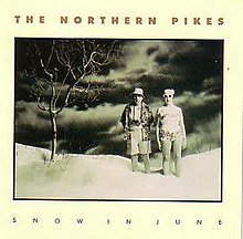 RealDonBradshaw's tweet image. For those of you in central Newfoundland, and in the St. John's Metro area who might be a little put off by the recent turn in weather, might I suggest adding this as the soundtrack to your day. @northernpikes #SnowInJune #nlwx