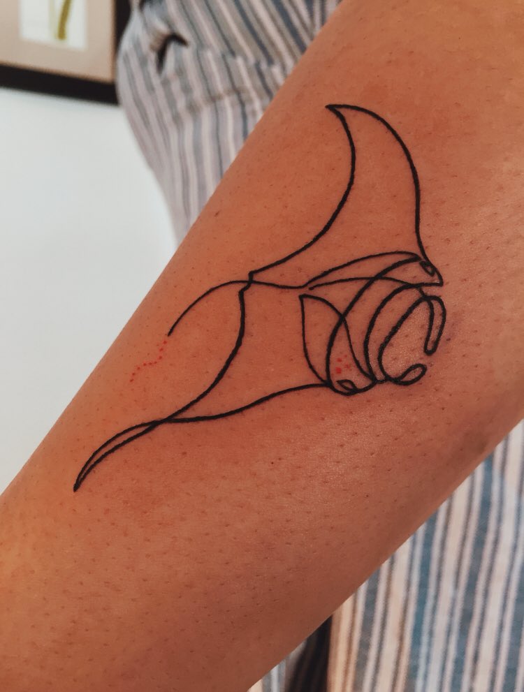 manta ✨
