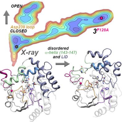 Chemistry (@chemeurj) on Twitter photo Osuna, Feixas et al. report conformational heterogeneity in epoxide hydrolase #YoungChemists special issue pharmacology <a href="/icreacommunity/">ICREA Community</a> <a href="/IQCCUdG/">IQCC UdG</a> <a href="/silviaosu/">Silvia Osuna</a> <a href="/CompBioLab_IQCC/">CompBioLab</a> doi.wiley.com/10.1002/chem.2⦠Osuna, Feixas et al. report conformational heterogeneity in epoxide hydrolase #YoungChemists special issue pharmacology <a href="/icreacommunity/">ICREA Community</a> <a href="/IQCCUdG/">IQCC UdG</a> <a href="/silviaosu/">Silvia Osuna</a> <a href="/CompBioLab_IQCC/">CompBioLab</a> doi.wiley.com/10.1002/chem.2ā¦