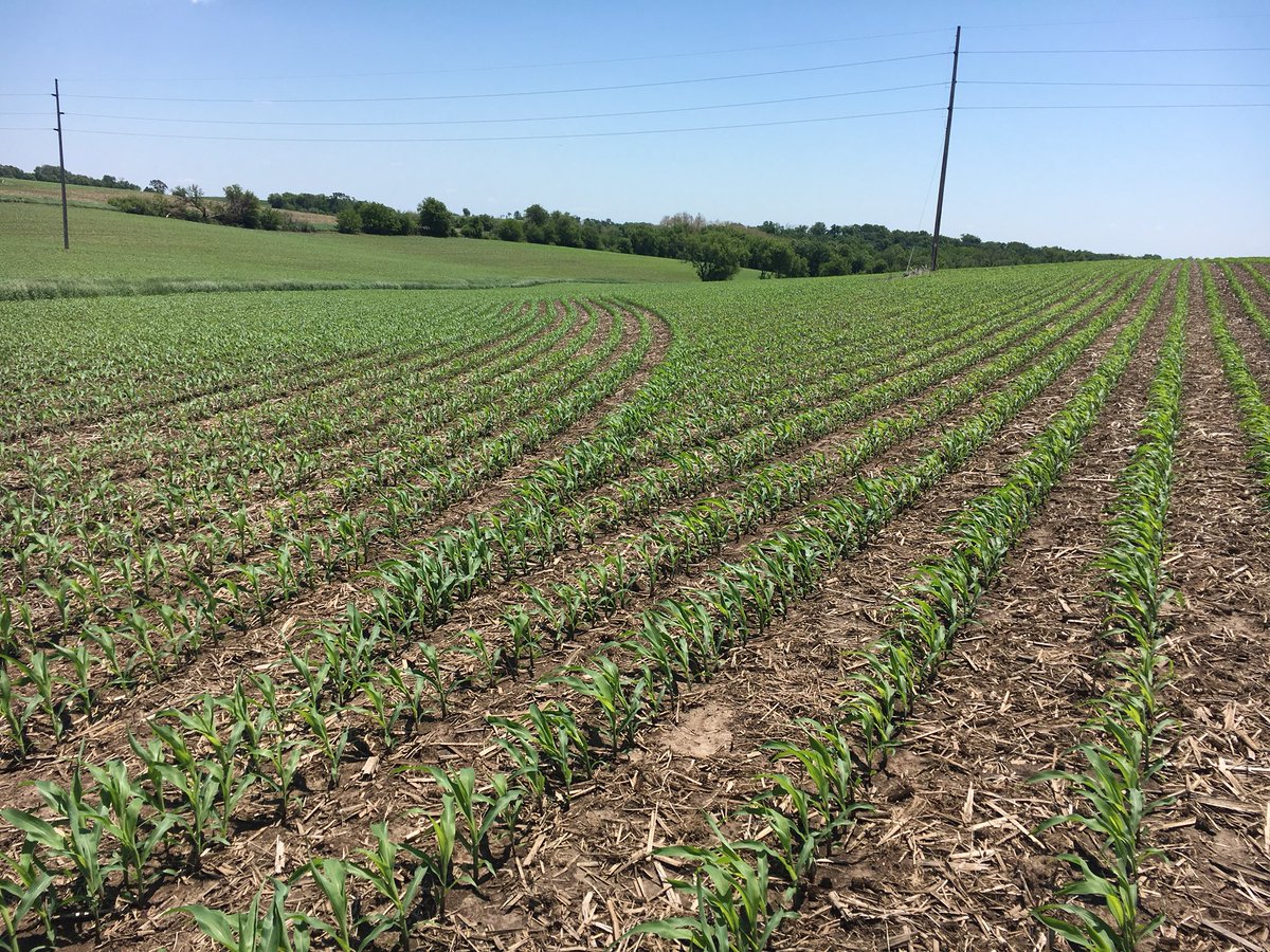FSNextGenAg's tweet photo. Constantly impressed by the precise row control of these new #vDrive planter builds. @Insight_FS @precision_plant https://t.co/3TA73PNS3T