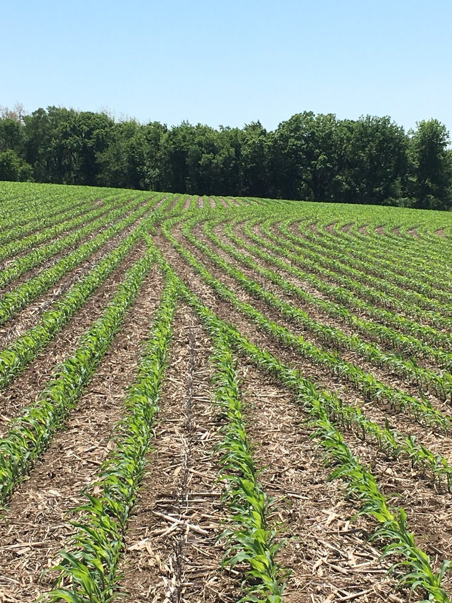 FSNextGenAg's tweet photo. Constantly impressed by the precise row control of these new #vDrive planter builds. @Insight_FS @precision_plant https://t.co/3TA73PNS3T