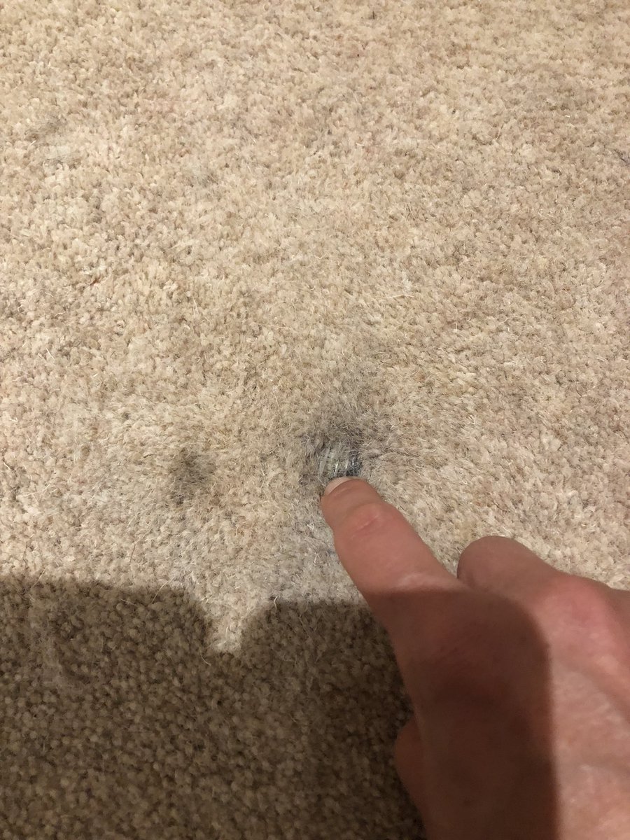 I found an oil stain the hubby did on our cream carpet.. I decided to Vanish gold it.. leave it.. go again.. when I got home he had CUT the stain out?? #Manproblems #really I am going to get him in a headlock and rub his forehead in this when he gets home