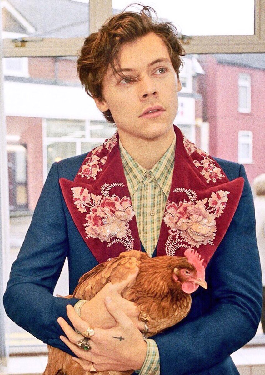 Gucci Chicken (@HarrysChickenn) /