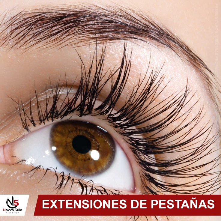 Novvo Stilo tweet media