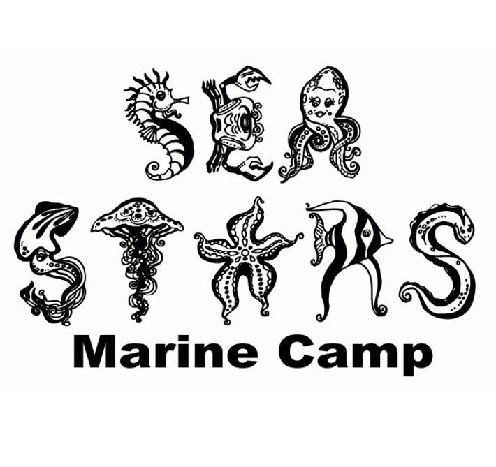 CCE Marine Program tweet media