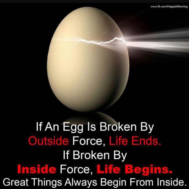 #صورة_ملف_شخصي_جديدة