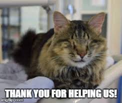 🐈 📣 I just voted for Blind Cat Rescue &amp; Sanctuary, Inc. in the Shelter Challenge #shelterchallenge bit.ly/2xGRTm7 

shelterchallenge.com/shelterchallen…