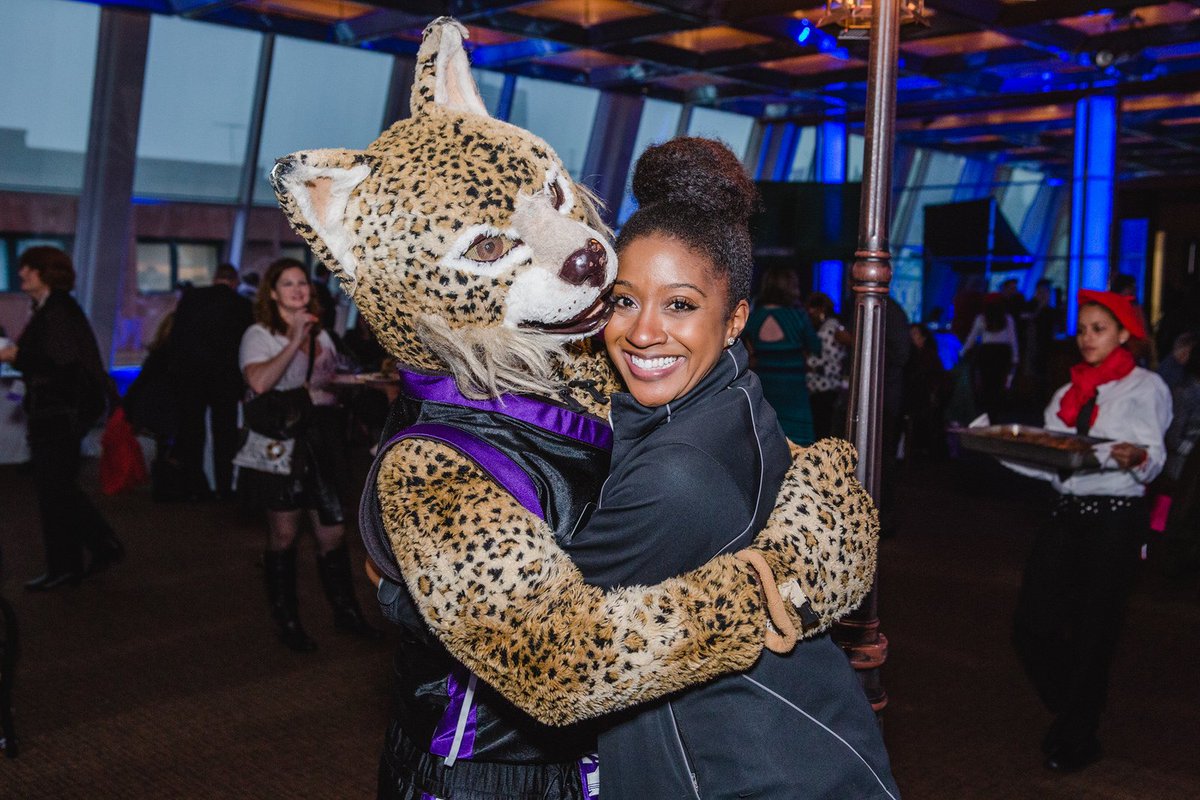 NYUAlumni's tweet photo. Happy #hugyourcatday! Big hugs for our favorite @nyuniversity (Bob)cat! #VioletPride https://t.co/R1iCSgs8ya