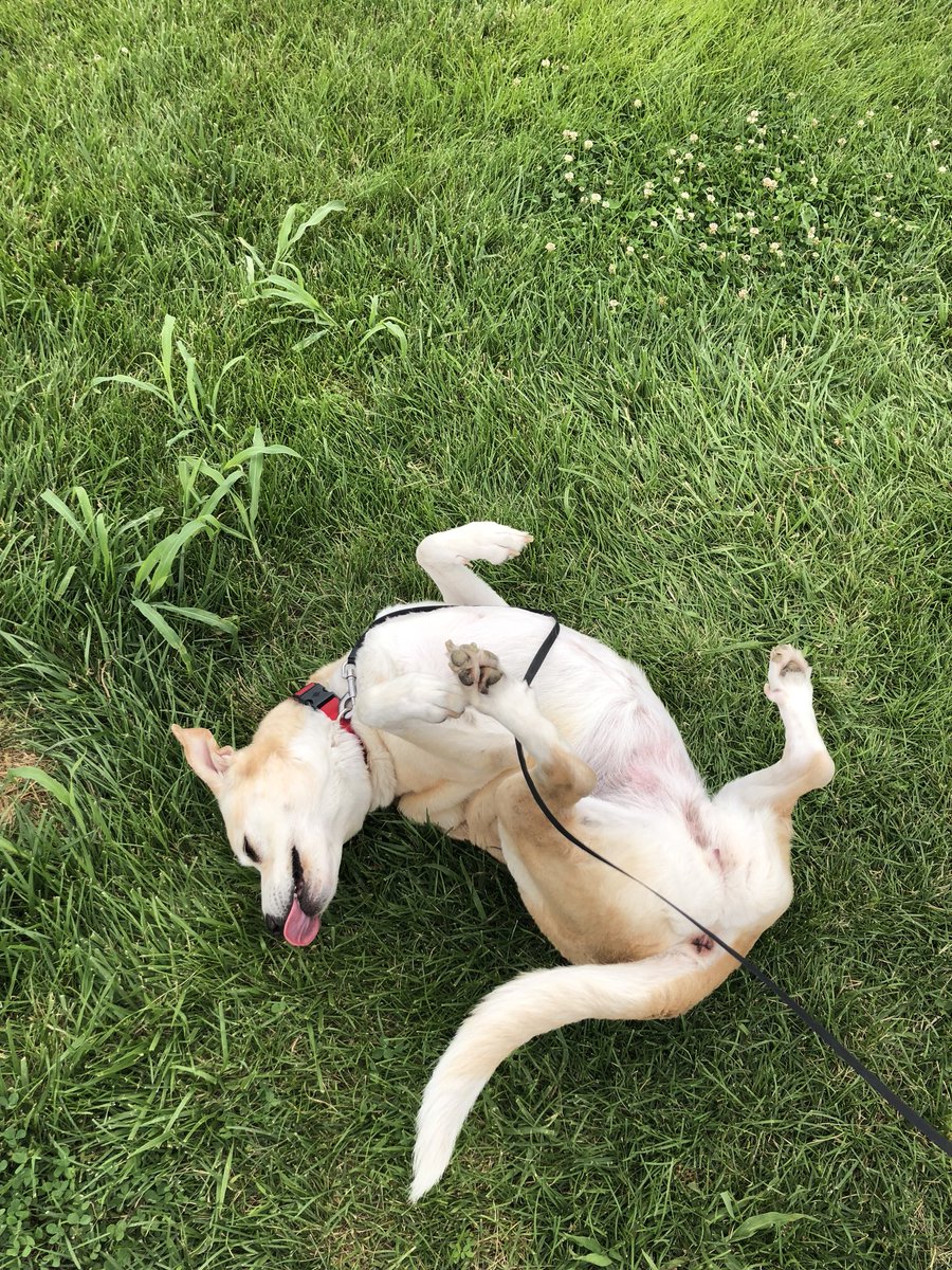 Garrett Luttrell tweet media