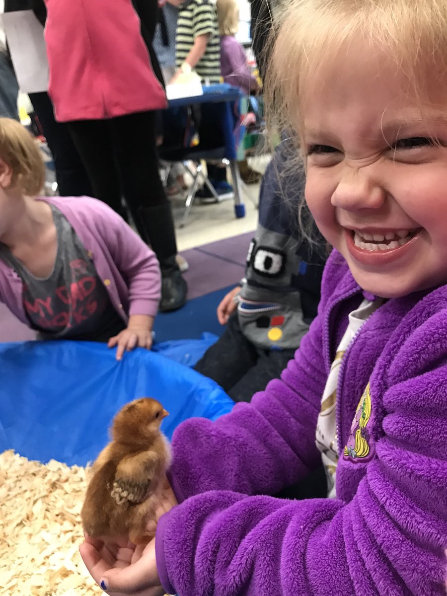 vanfio's tweet photo. #happyhathaway hashtag on chick night! @HathawaySchool https://t.co/kasS4KxvYL
