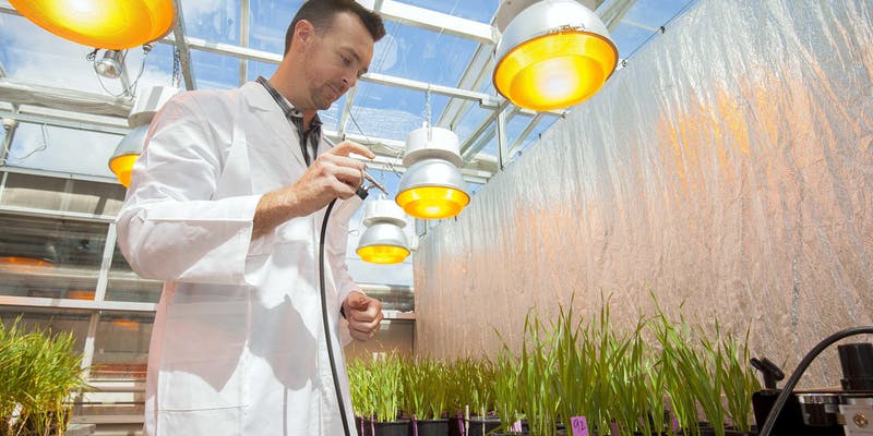 BrisScience: Speed breeding - accelerating crop research event. Get your free ticket now to hear about the latest and greatest in #plant breeding | State Library of Queensland @UQ_News @DrHikov  #feedingtheworld 

eventbrite.com.au/e/brisscience-…