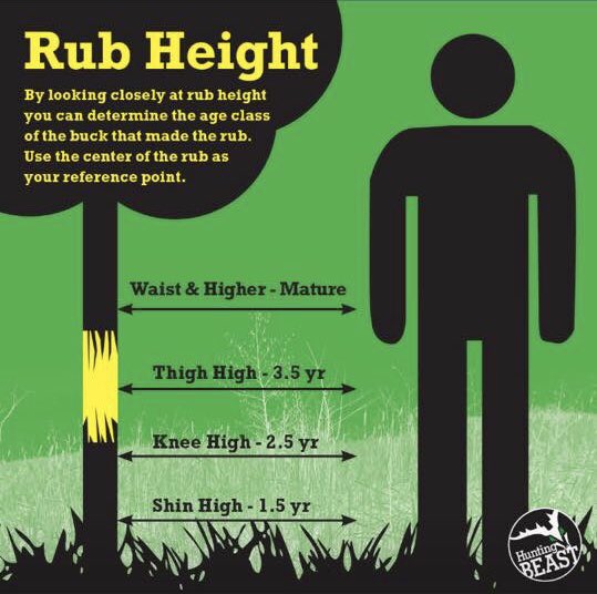OutdoorCompound's tweet image. Be prepared to find those rubs and better understand the deer that might be leaving them behind! #hunting / #scouting / #bowbunting / #deerhunting / #huntsmart / #huntprepared