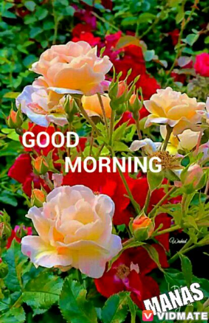 MhaprasadP's tweet photo. https://t.co/DNOf3r1kBC