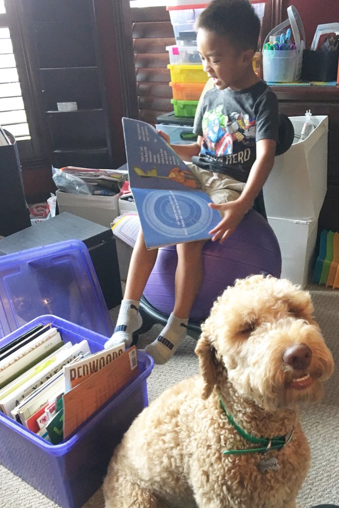 MrsHHoskins's tweet image. Liam is reading to his fur cousin, Poppy😍 #AlvinISDreads #readyforkinder
