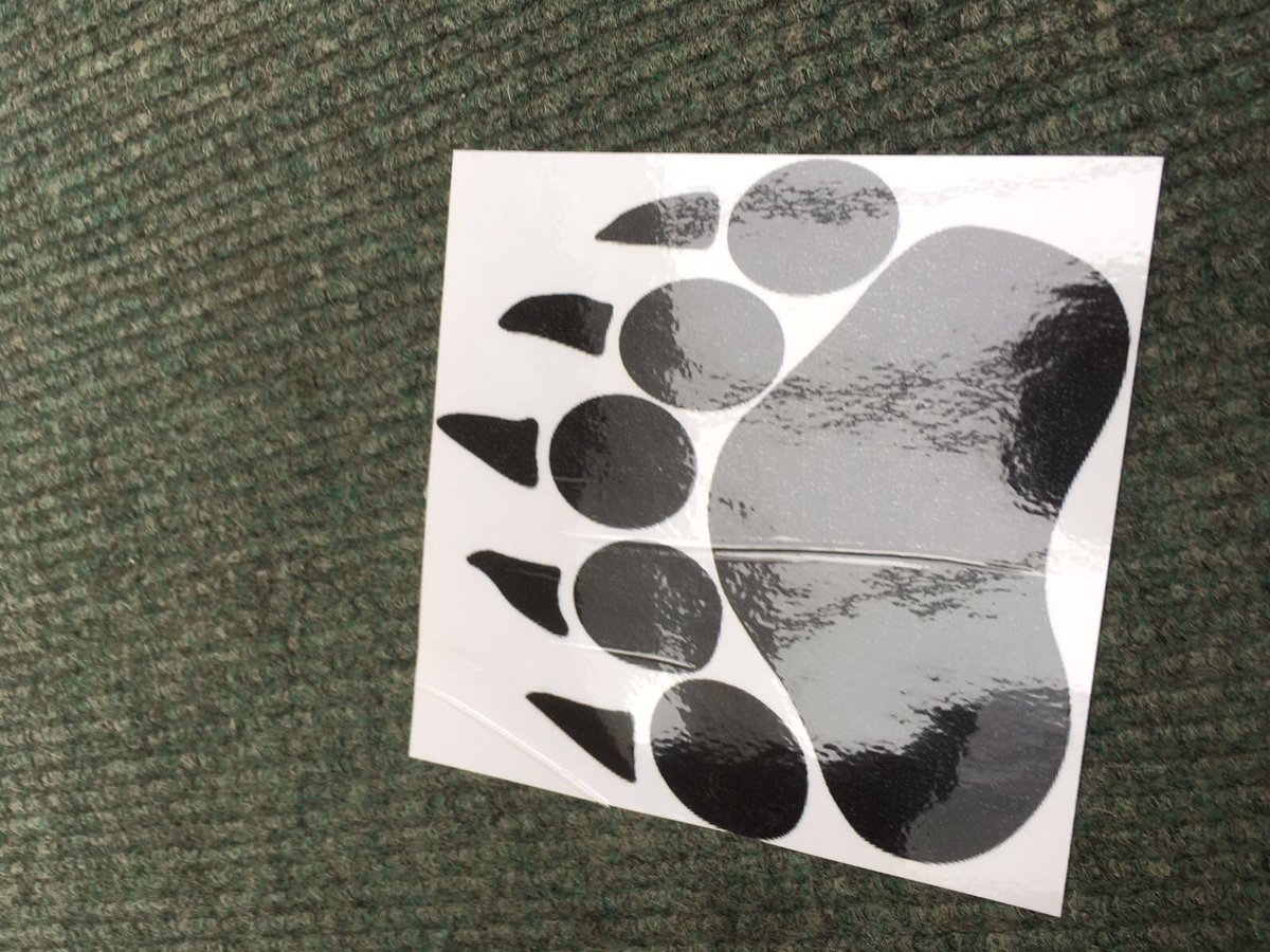 ArbroathNth's tweet photo. Fuzzy Bear masks and pancakes . @FriockheimPS @HaysheadPrimary @scotgovCYPIC @CHATayside https://t.co/kYEMKBIUeq