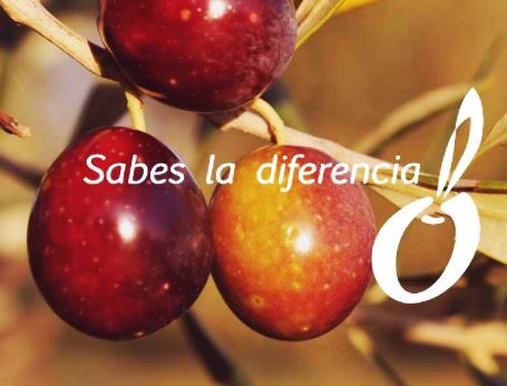 SentirOliva's tweet photo. Porque #SabeslaDiferencia, en #SentirOliva contamos con el #AceitedeOlivaVirgenExtra de mayor calidad y prestigio, entra en nuestra tienda online y descúbrelo ➡️ https://t.co/BZGZIhEJe7 https://t.co/rfibTyYCpQ
