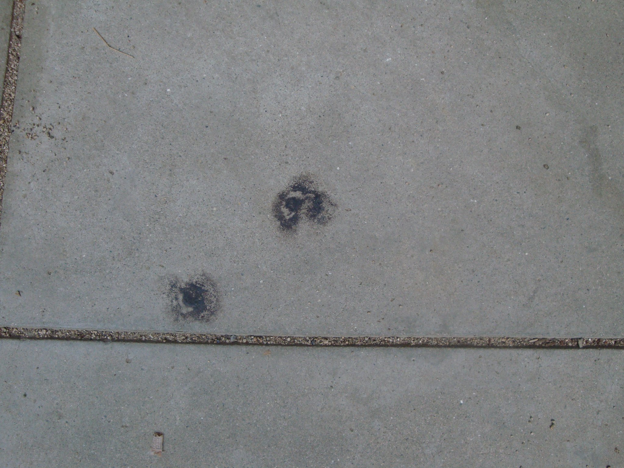 駄菓子屋 磯部商店 懐かしい 魔法のヘビ花火 ４玉 50円 入荷しました 長い一本グ のような炭状物質がひり出てきます 注意事項 1ライターの点火はやけどの危険があります ロウソク チャッカマンなどが理想です 1コンクリート面では跡が１年以上