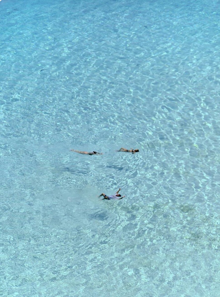 Dcqitalia On Twitter Didyouknow That The Rabbit