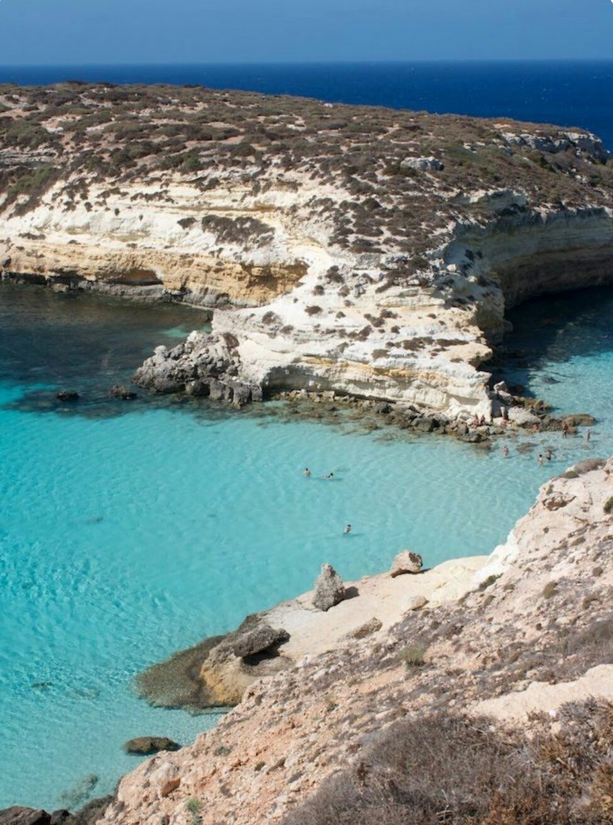 Dcqitalia On Twitter Didyouknow That The Rabbit