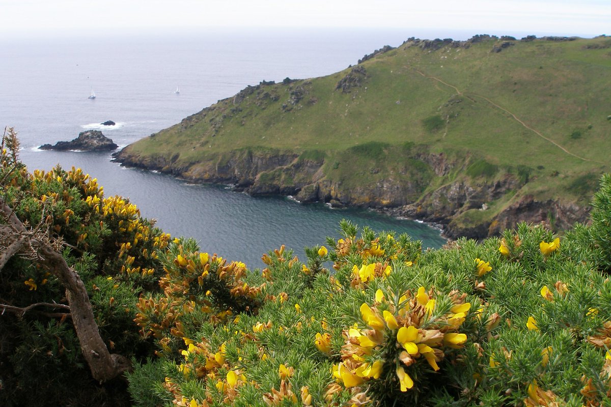Westcountrywand's tweet photo. #Devondays #Bolthead #Sharpitor #Salcombe #SouthHams #Devon @swcoastpath https://t.co/Jj5YPadGhD