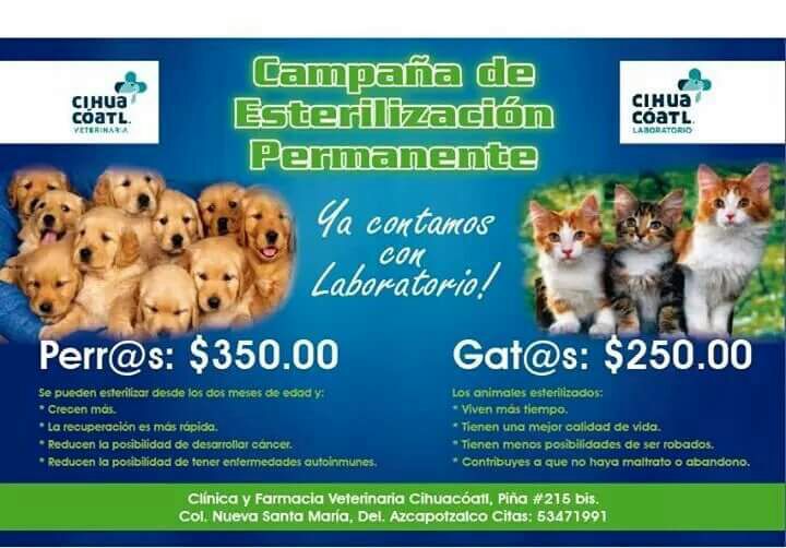 Nydia Cervera tweet media