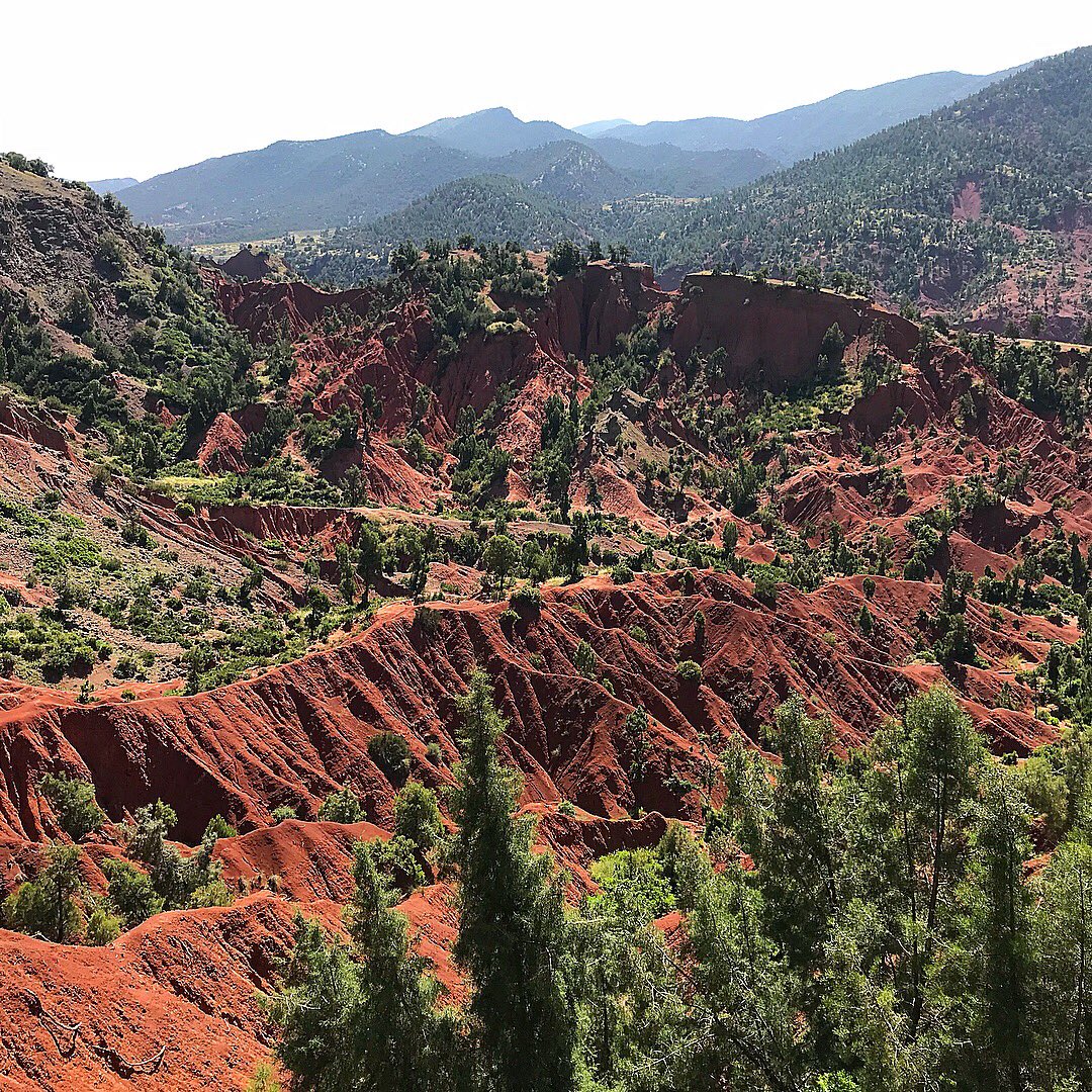WIXSQUARED's tweet photo. We spent last weekend on a research trip to the #AtlasMountains in search of new hikes, lunch spots and experiences in #morocco with #wixsquared. https://t.co/RZ3Q0AMgQV