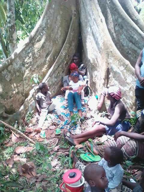 asu_lucas's tweet photo. The only way for children, women &amp; the population to stay Alive in Southern Cameroons is to Escape to the Forest in order not be Slaughtered by LRC dictator Paul Biya’s military.

Stop 🛑 the Genocide. 

@KremlinRussia_E  @KremlinRussia_E @MedvedevRussiaE 

#GenecideInAmbazonia https://t.co/301Egmw88S