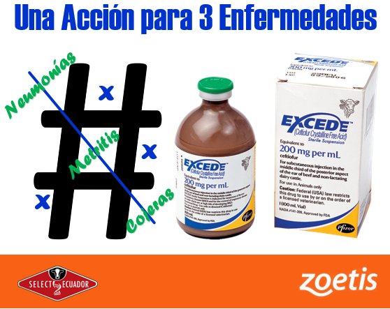 SelectEcuador tweet picture