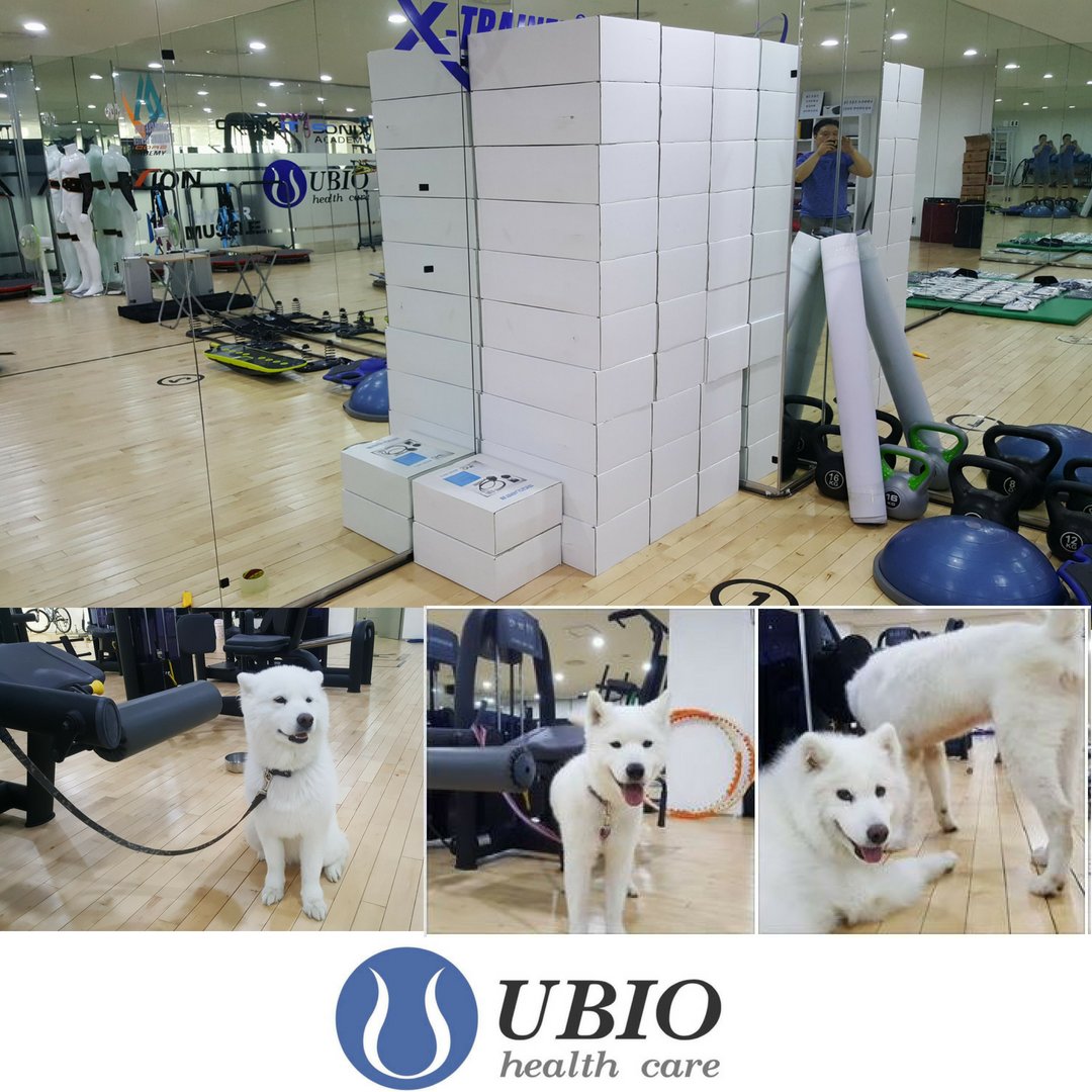 paul13allen's tweet photo. revvlls arrived S.Korea and Kkumi and Co. can't wait to start unpacking. #revvlls #revvllPRO #revvllONE #functionaltraining #PhysicalTherapy https://t.co/uC3tVraRmI