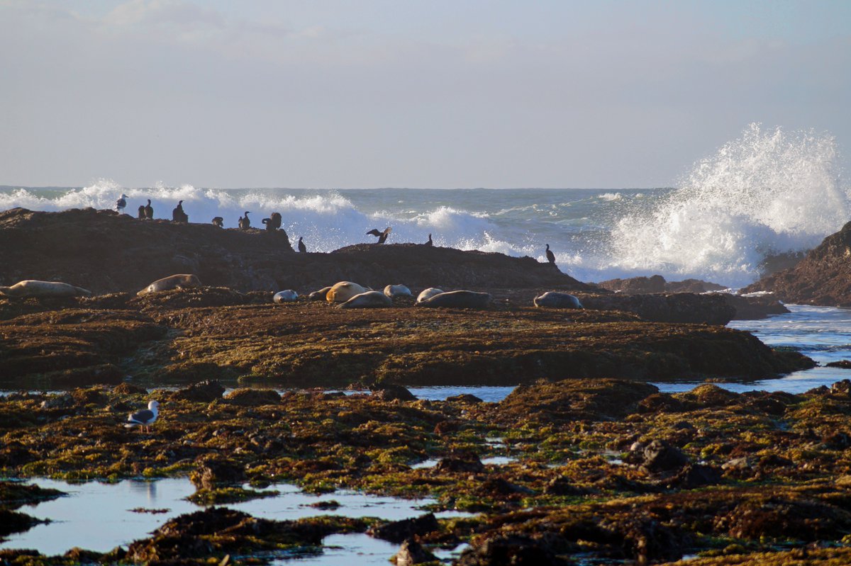 San Mateo County Sustainability Department tweet media